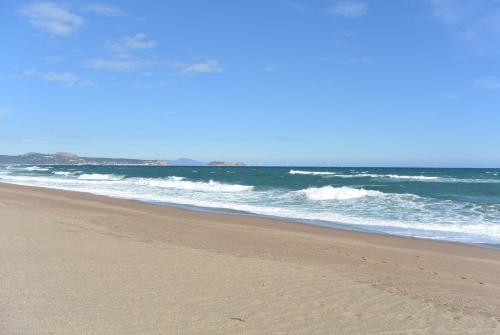 Imagen 4 de 17