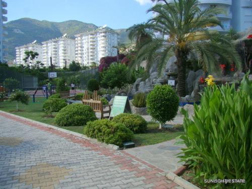 Imagen 5 de 18