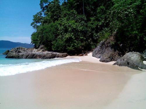 Imagen 4 de 33