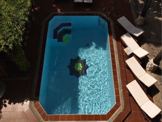 Imagen 2 de 2