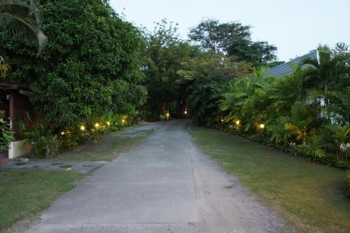 Imagen 4 de 81