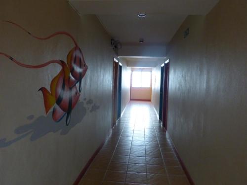 Imagen 1 de 24