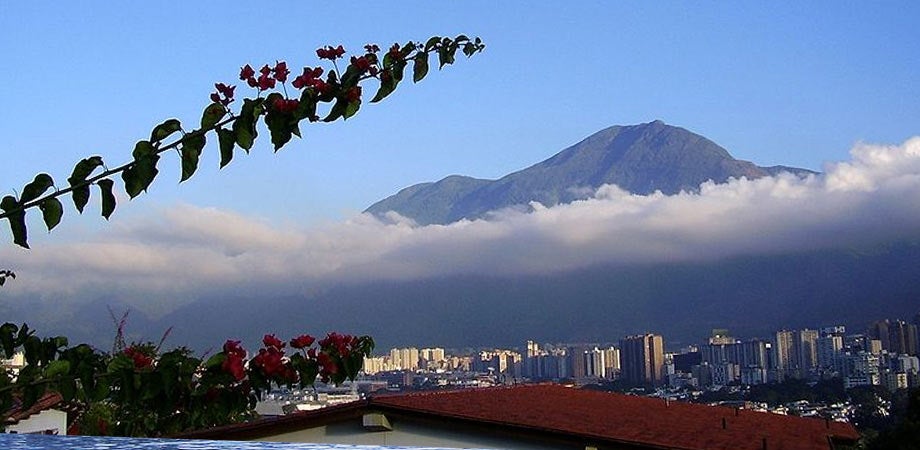 Imagen 4 de 52