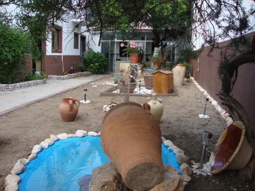 Imagen 4 de 14