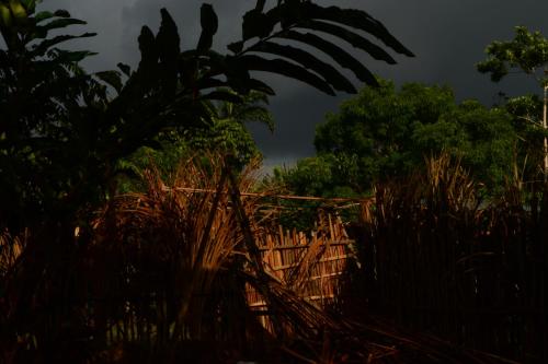 Imagen 3 de 99