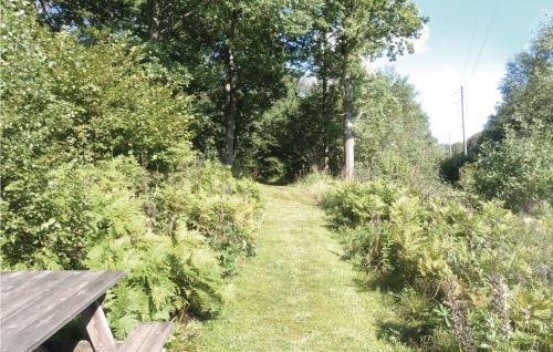 Imagen 3 de 7