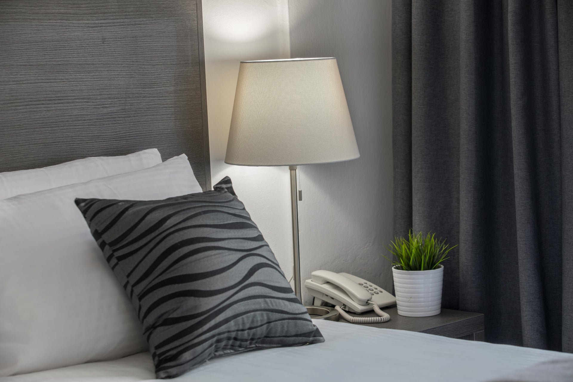 Imagen 2 de 76