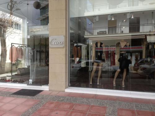 Imagen 3 de 14