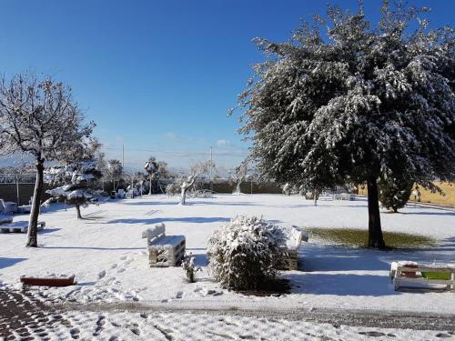 Imagen 4 de 48