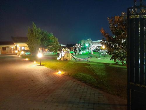 Imagen 2 de 48