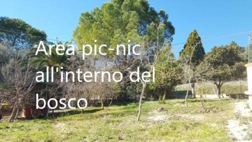 Imagen 5 de 40