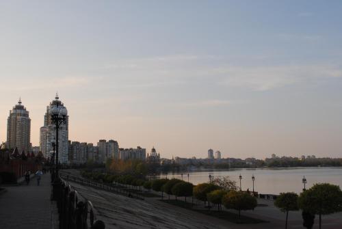 Imagen 3 de 17
