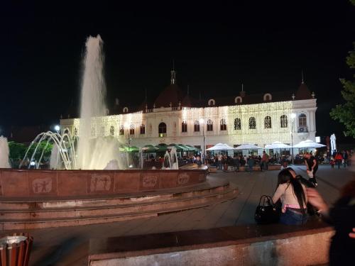 Imagen 4 de 12