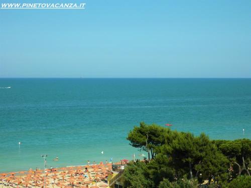 Imagen 2 de 15