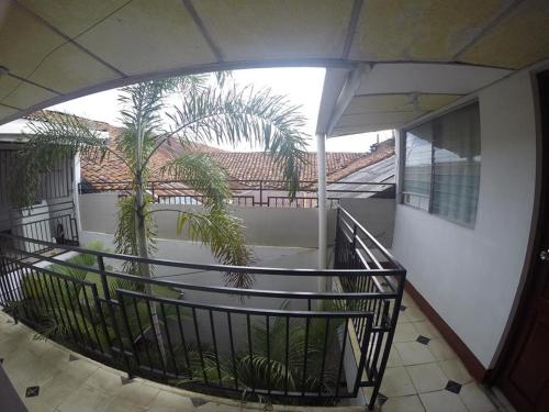 Imagen 3 de 21