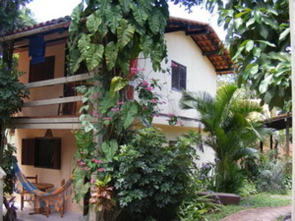 Imagen 2 de 3