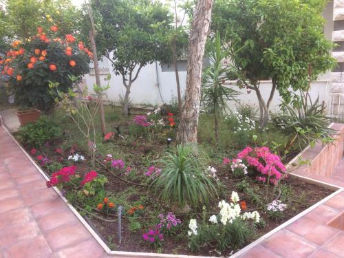 Imagen 5 de 65