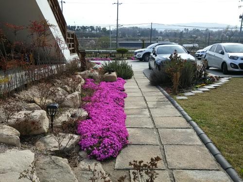 Imagen 5 de 70
