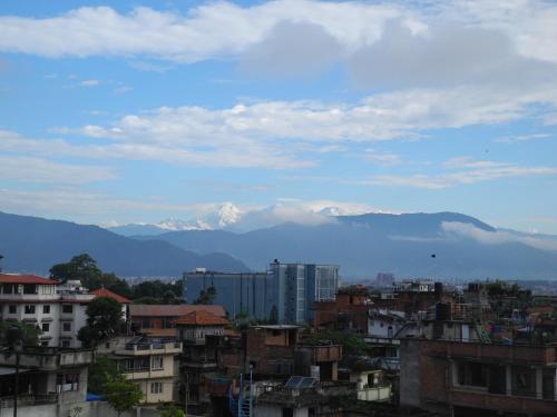 Imagen 3 de 24