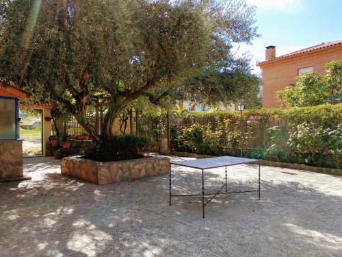 Imagen 1 de 36