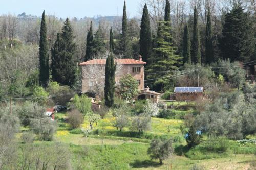 Imagen 3 de 9
