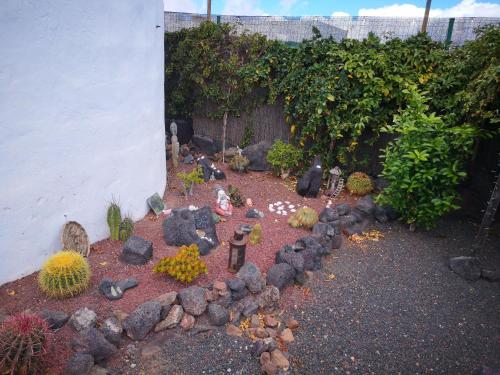 Imagen 4 de 88