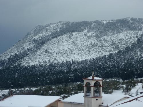 Imagen 1 de 77