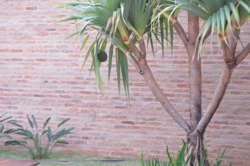 Imagen 4 de 29