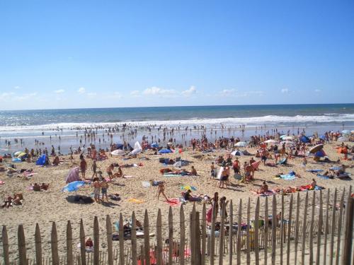 Imagen 4 de 18