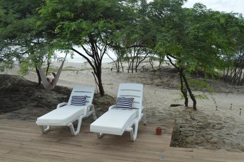 Imagen 3 de 21