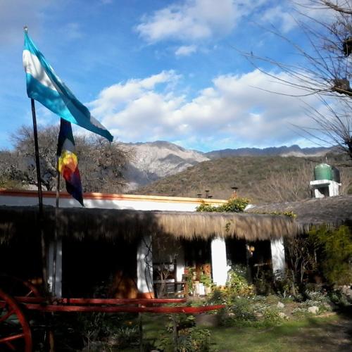 Imagen 1 de 33