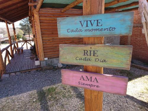 Imagen 2 de 40
