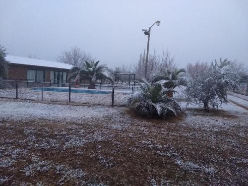 Imagen 2 de 102