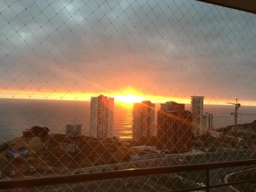 Imagen 2 de 13
