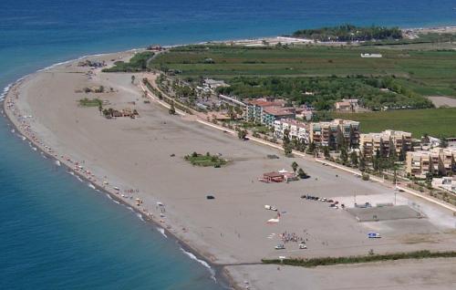 Imagen 4 de 37