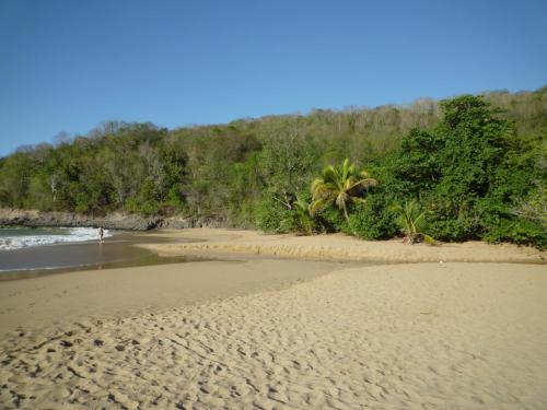 Imagen 3 de 22