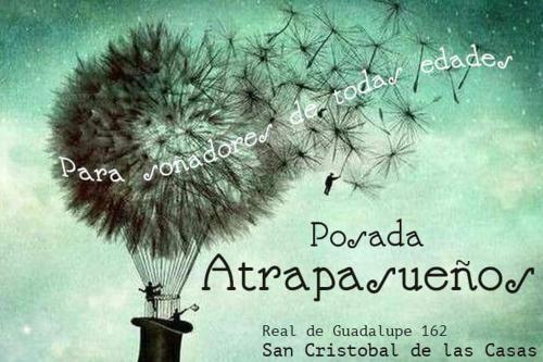 Imagen 1 de 13