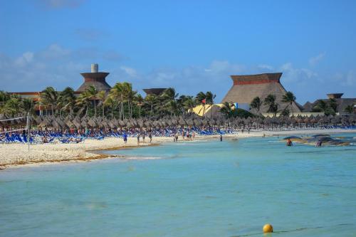Imagen 4 de 80