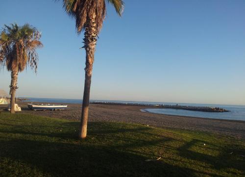 Imagen 3 de 97