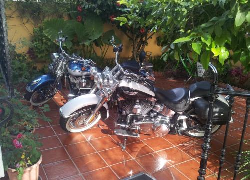 Imagen 4 de 97