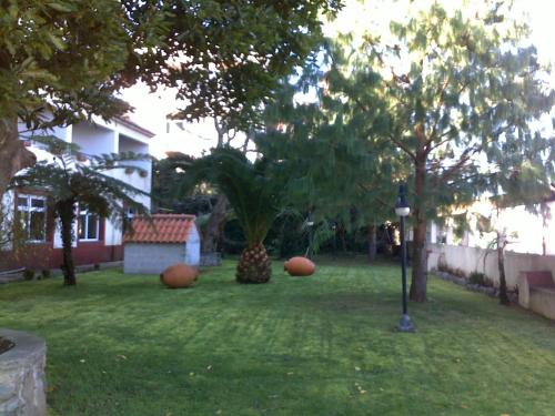 Imagen 2 de 52