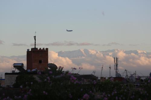 Imagen 4 de 83