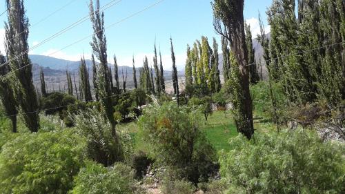 Imagen 3 de 28