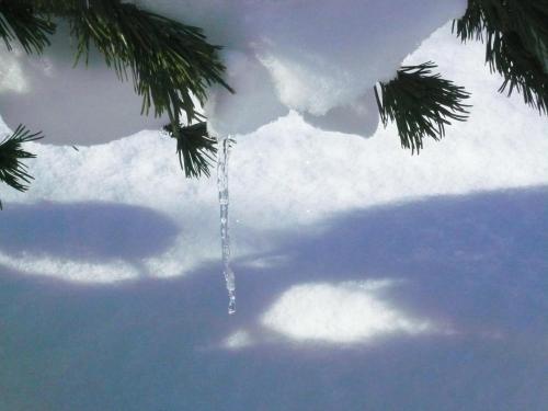 Imagen 2 de 41