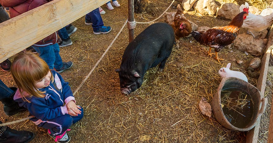 Granja Aventura Park: un día bestialmente divertido en la naturaleza