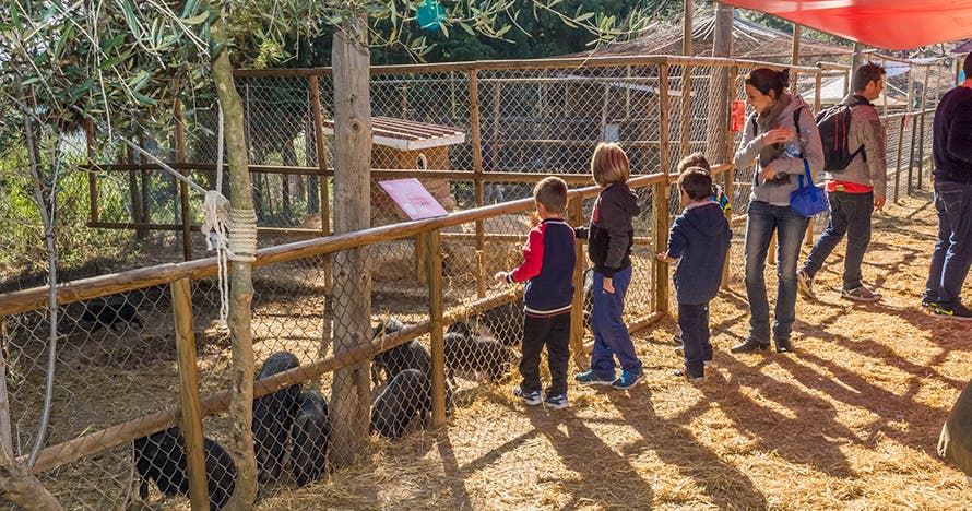 Granja Aventura Park: un día bestialmente divertido en la naturaleza