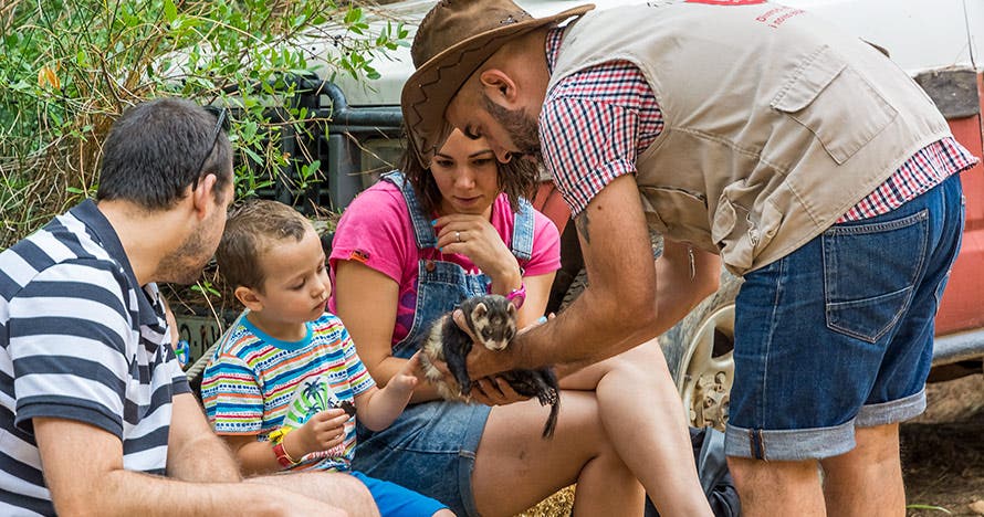 Granja Aventura Park: un día bestialmente divertido en la naturaleza