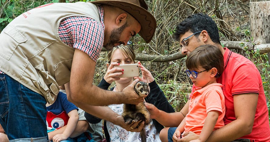 Granja Aventura Park: un día bestialmente divertido en la naturaleza