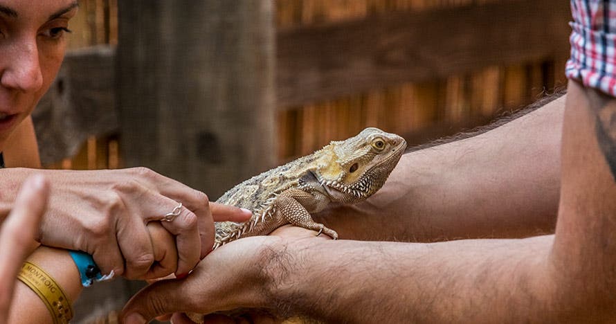 Granja Aventura Park: un día bestialmente divertido en la naturaleza
