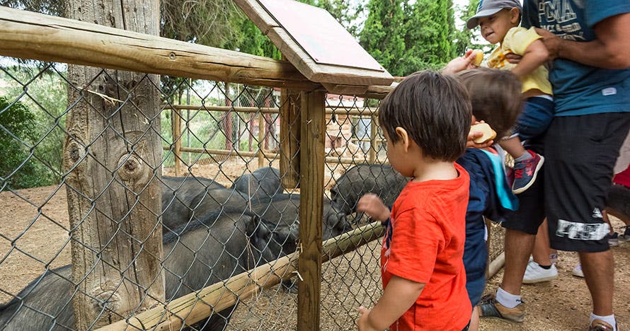 Granja Aventura Park: un día bestialmente divertido en la naturaleza